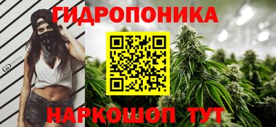 ПСИЛОЦИБИНОВЫЕ ГРИБЫ Беслан