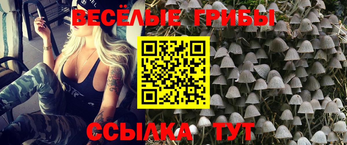 Галлюциногенные грибы Cubensis Зеленокумск