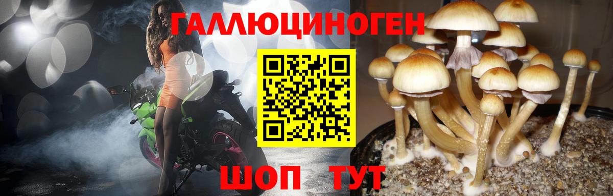 Галлюциногенные грибы Magic Shrooms  Вход с VPN  купить наркоту  Зеленокумск 